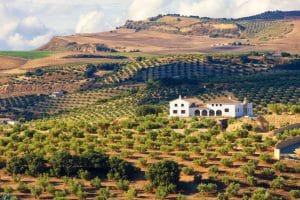 La nueva web de anuncios, gratis y exclusiva para el campo
