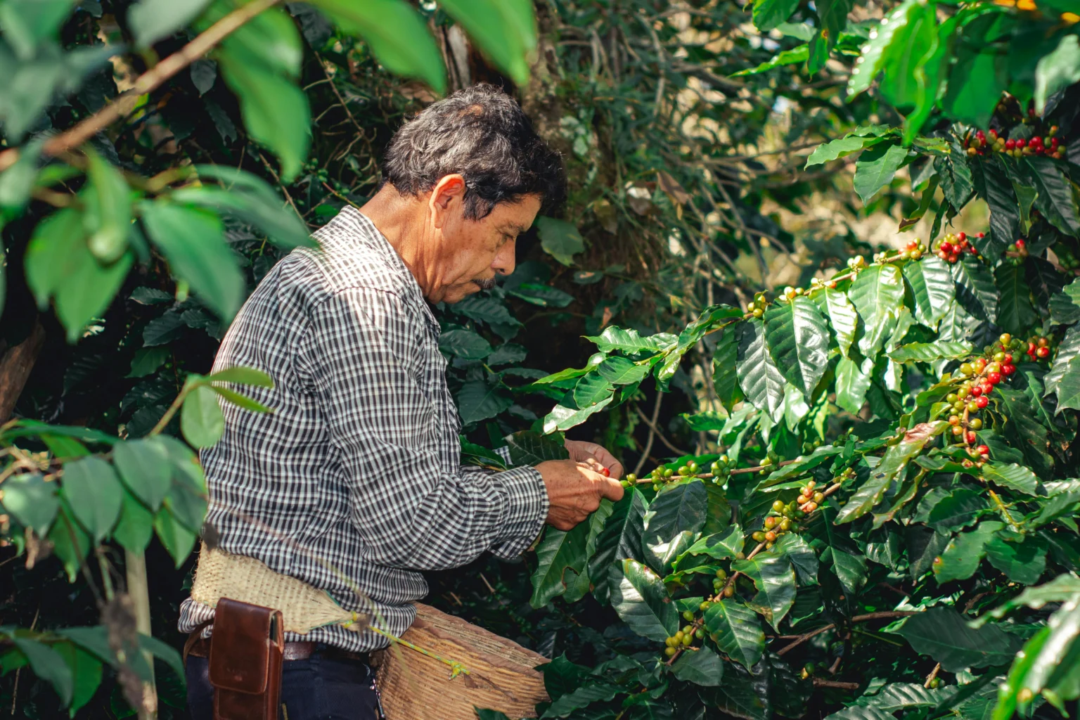 El Acuerdo UE-Mercosur: Una Oportunidad Histórica para la Agricultura y Ganadería