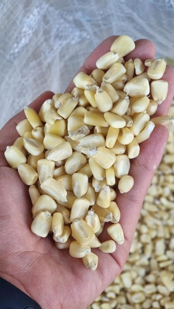 c42a9bd0-d88b-48a9-8a1d-7a30b7e7e4fb