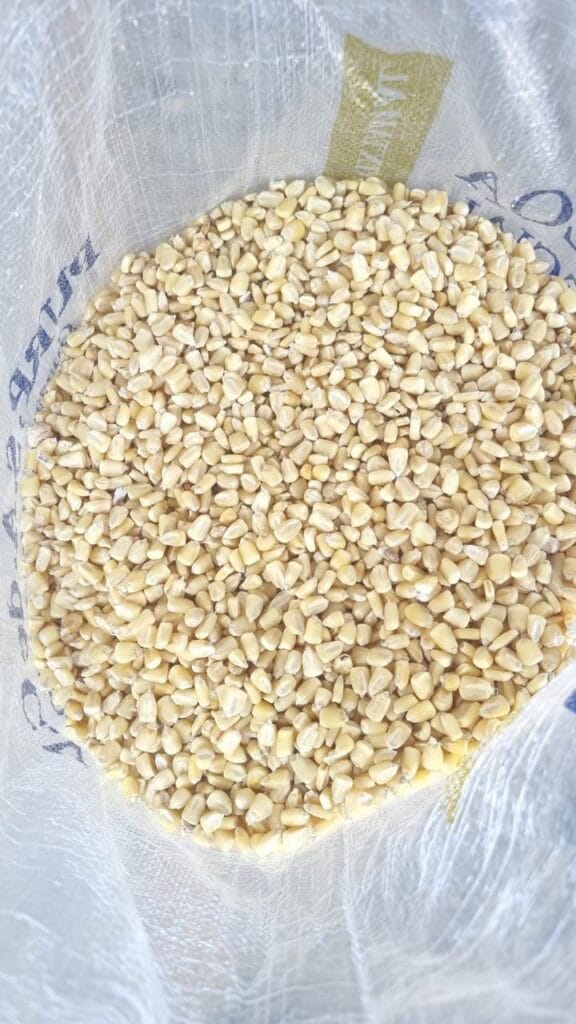 de39dba2-8cfe-4775-b631-20dc9b8d3061