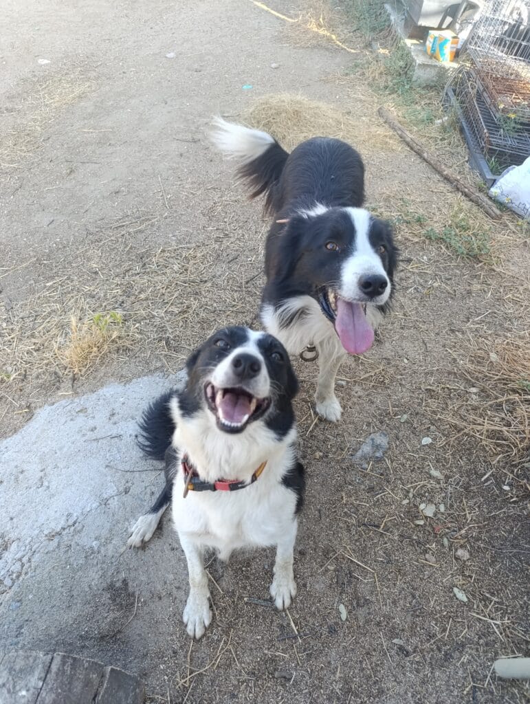 inbound4041323343680224766