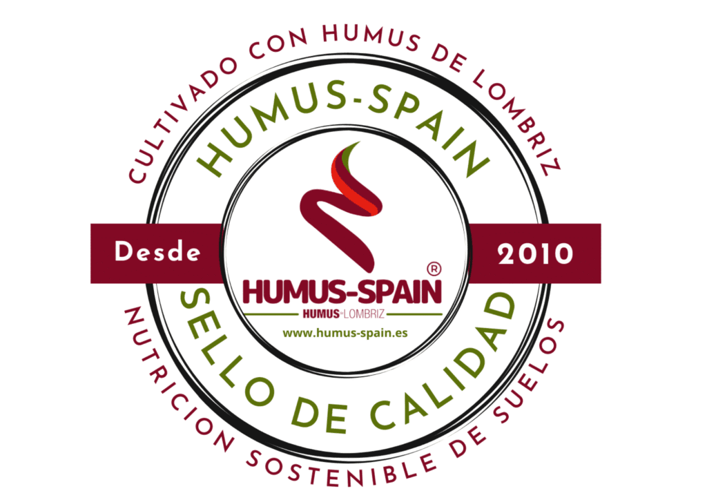 Sin-titulo-420-×-297-mm-2