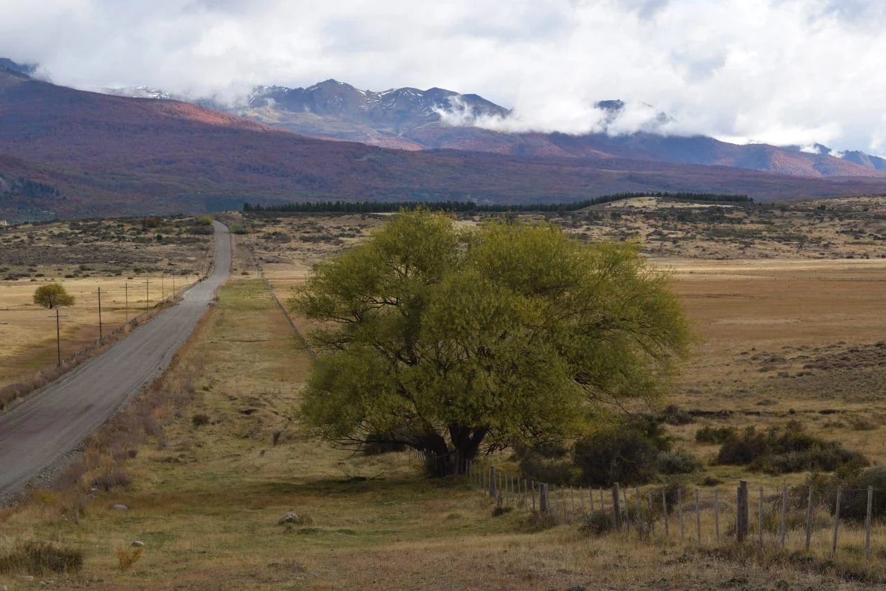 TRELEW-ACCESO.png-2