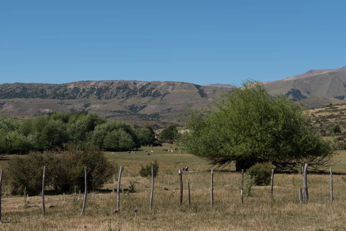 TRELEW-CERCA-CASA-1