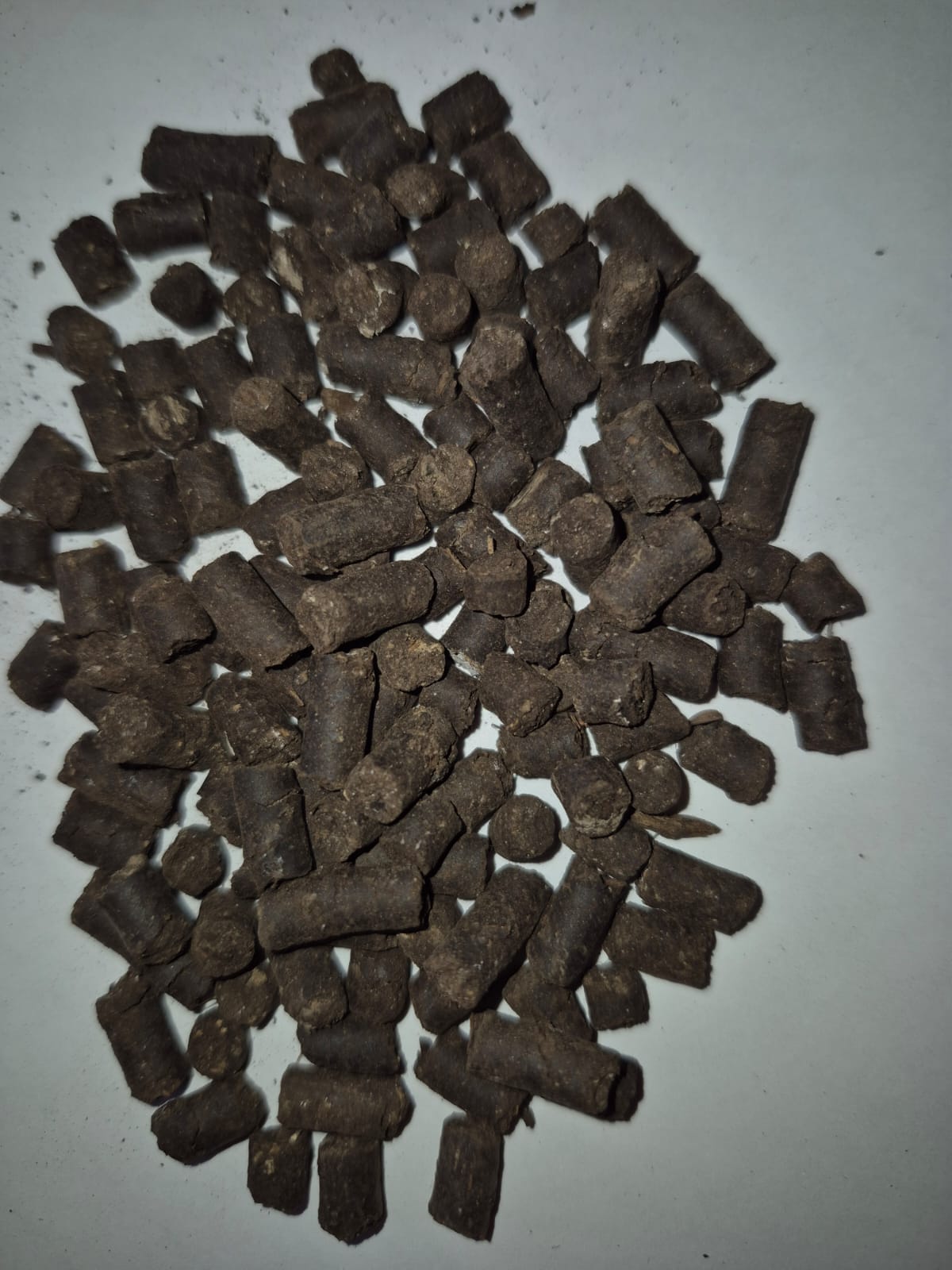 WhatsApp-Image-2025-10-09-at-11.22.18-AM