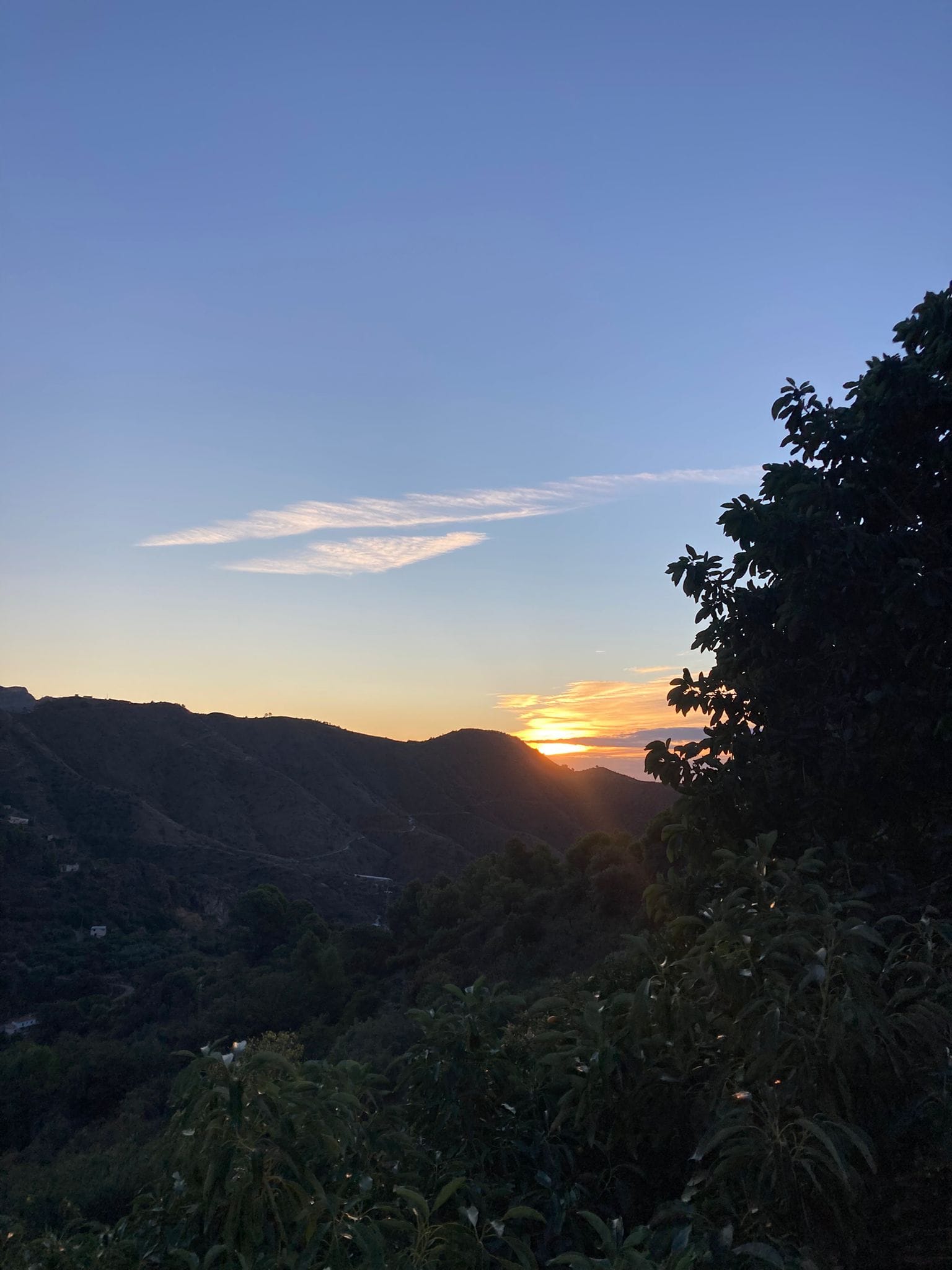 b2422ba5-9ca5-48a0-a957-617b29f303cd