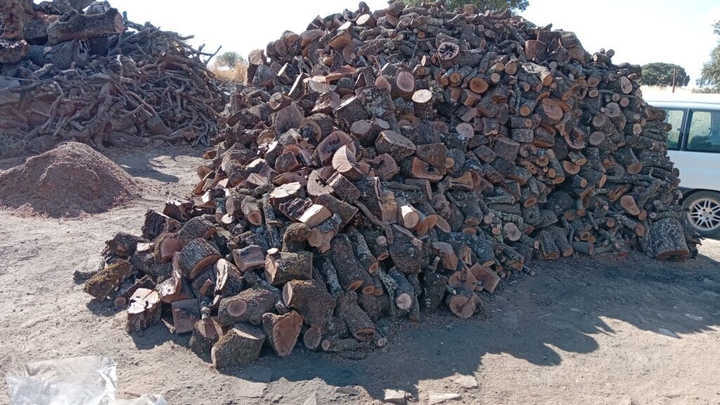 inbound1849873014314971540