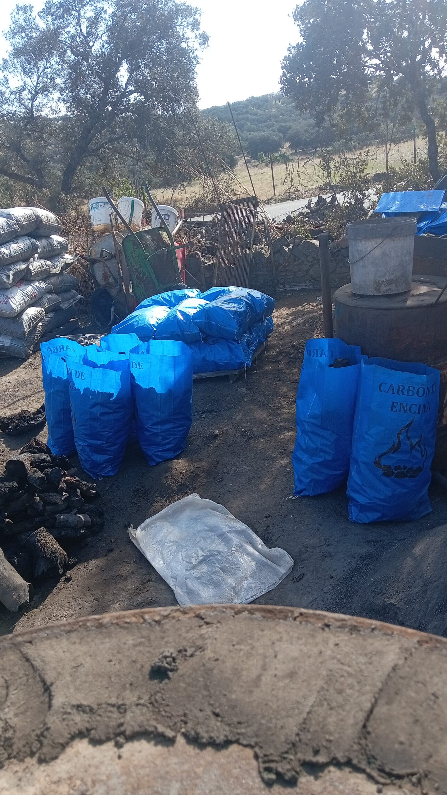 inbound3296286695776697479