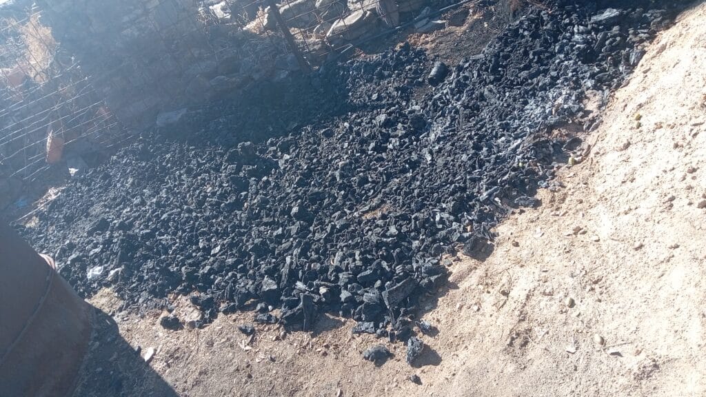 inbound3417533884227326869