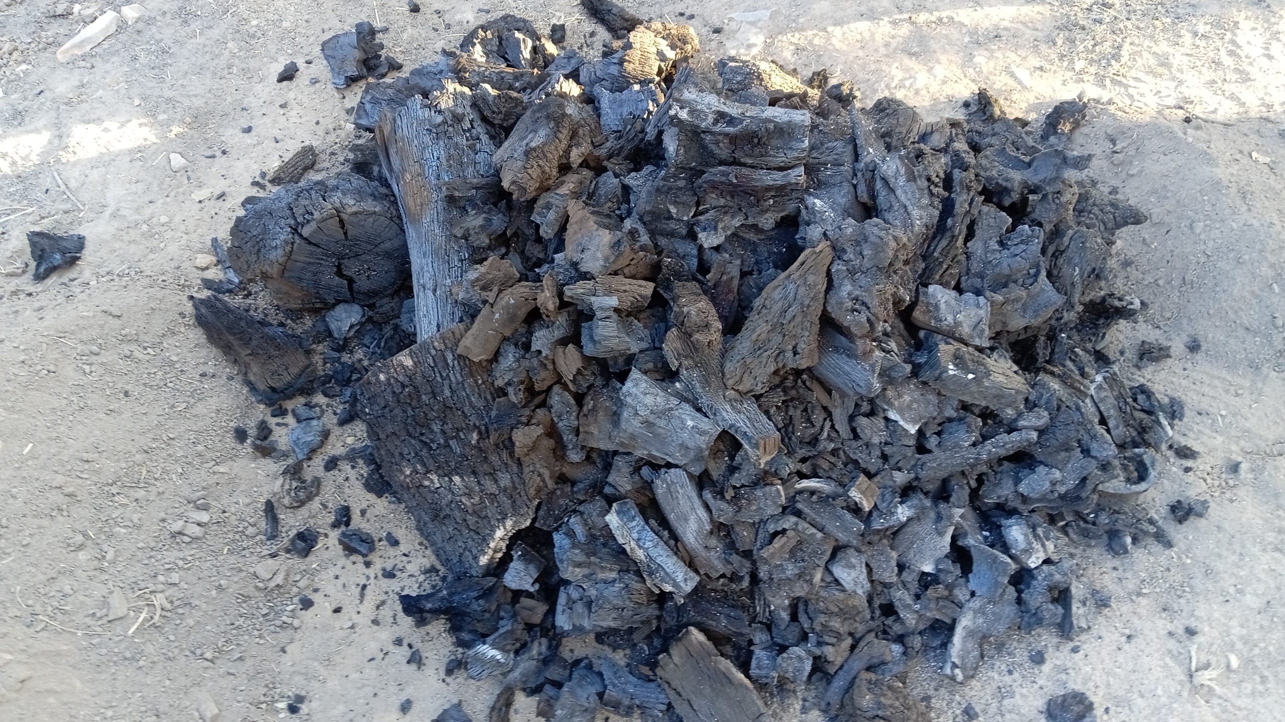 inbound4304708162622753575