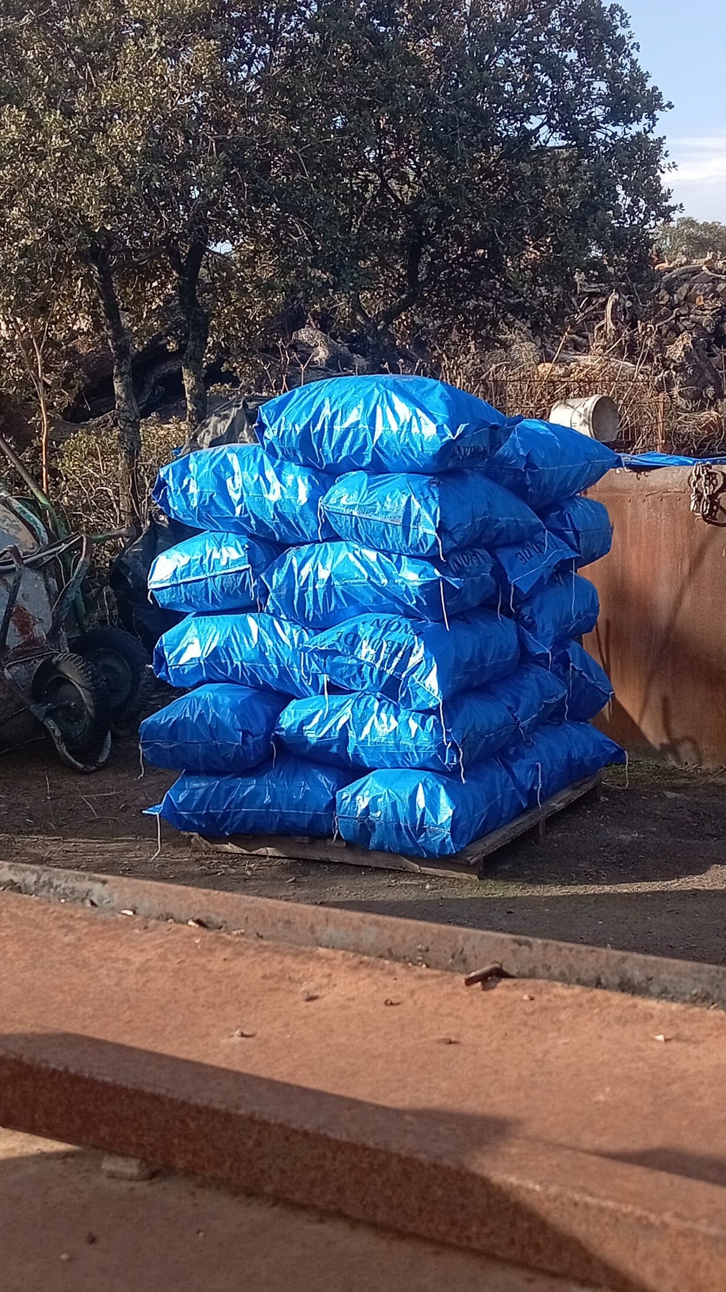 inbound4649927215056767097