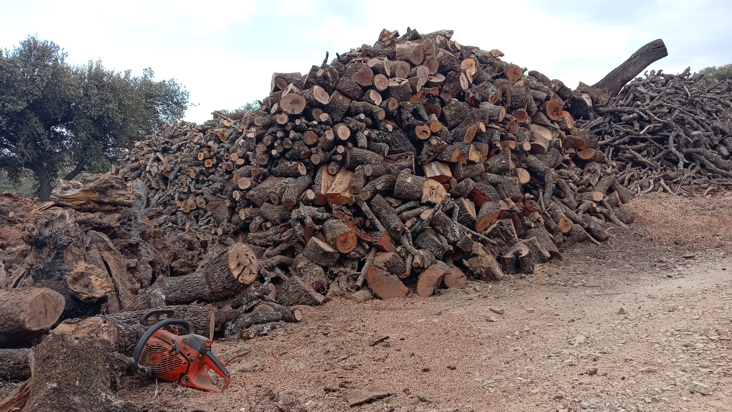 inbound5670512702092342945