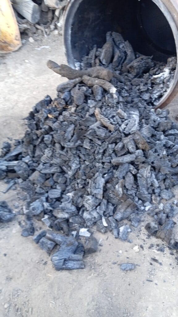 inbound7292849770798045793