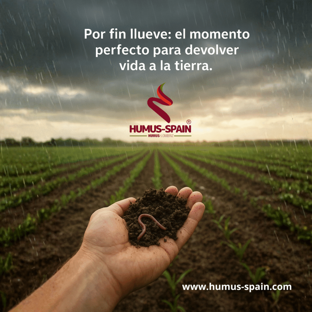 www.humus-spain.com_