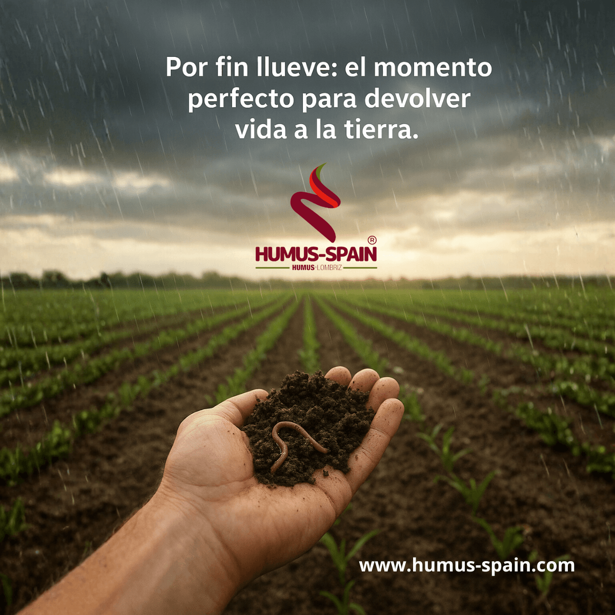 www.humus-spain.com_