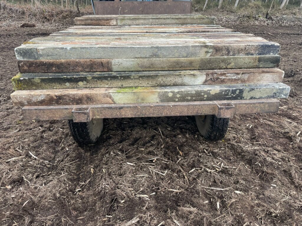 PHOTO-2026-03-10-20-47-59-1