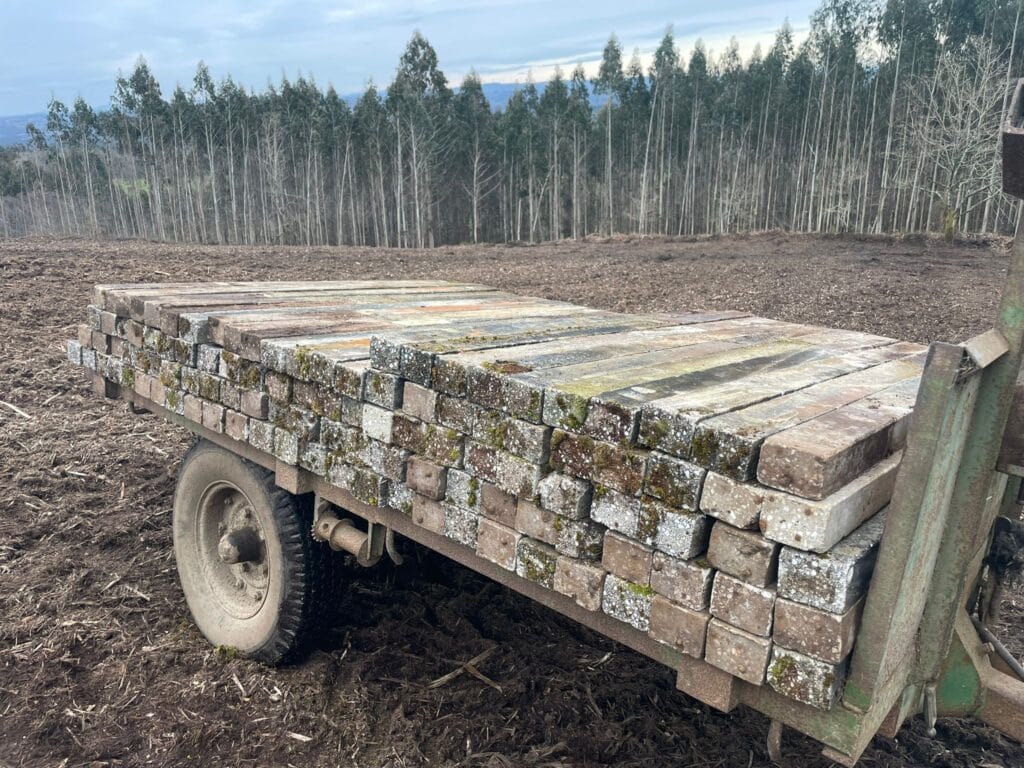 PHOTO-2026-03-10-20-47-59