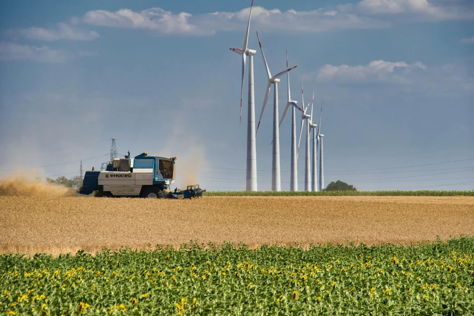 agricultura regenerativa