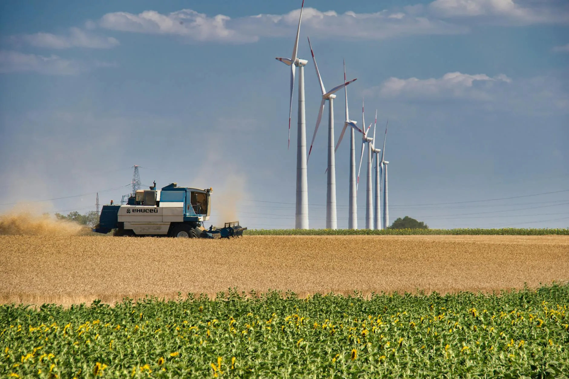 agricultura regenerativa