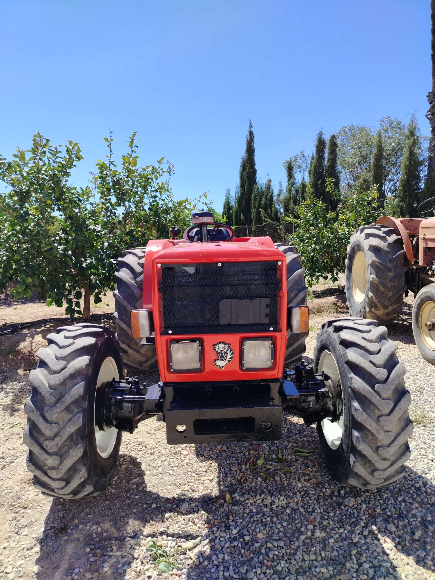 WhatsApp-Image-2026-04-01-at-16.18.48-2