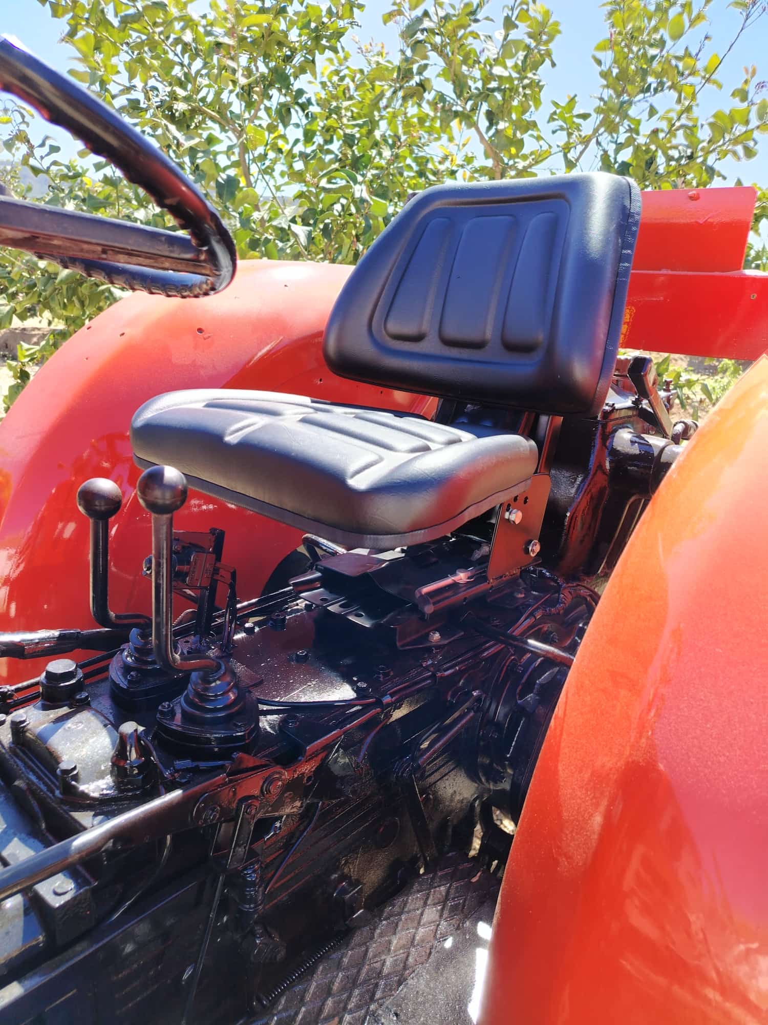 WhatsApp-Image-2026-04-01-at-16.18.50