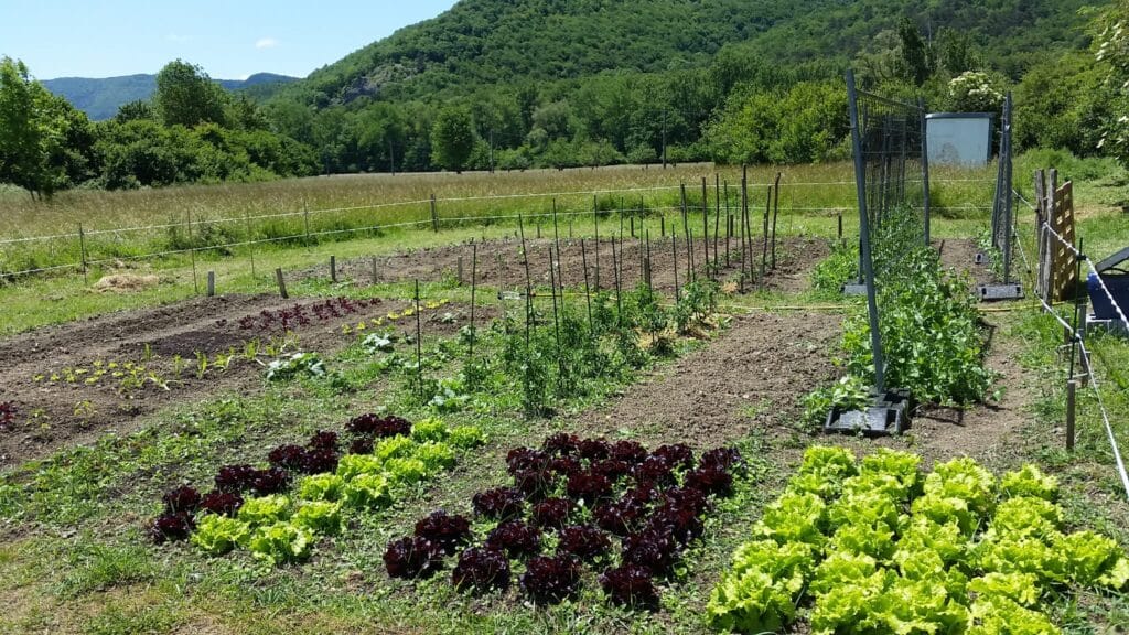 WhatsApp-Image-2026-04-04-at-18.35.55