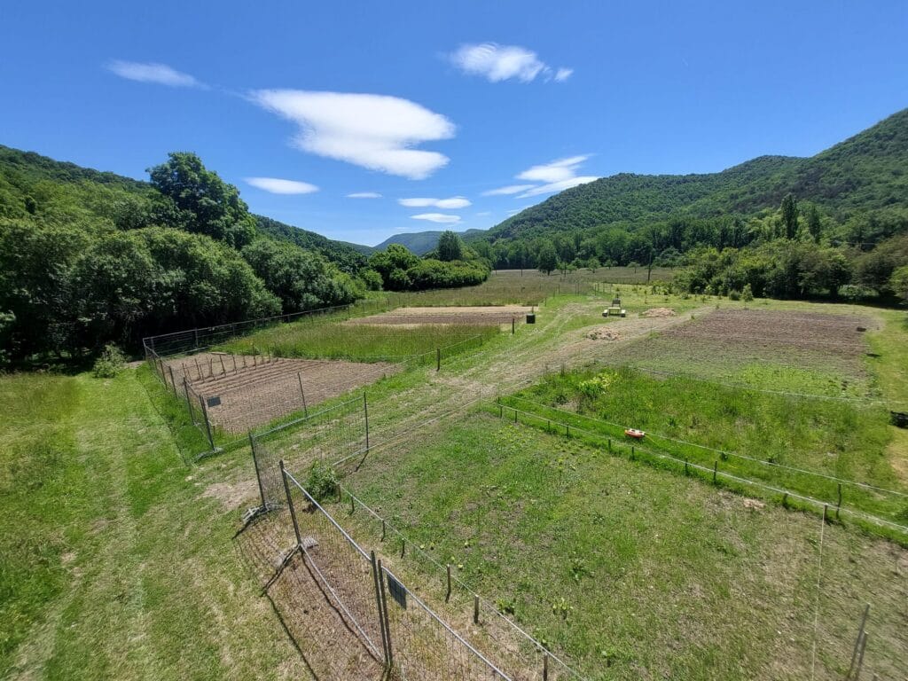 WhatsApp-Image-2026-04-04-at-18.39.14-1