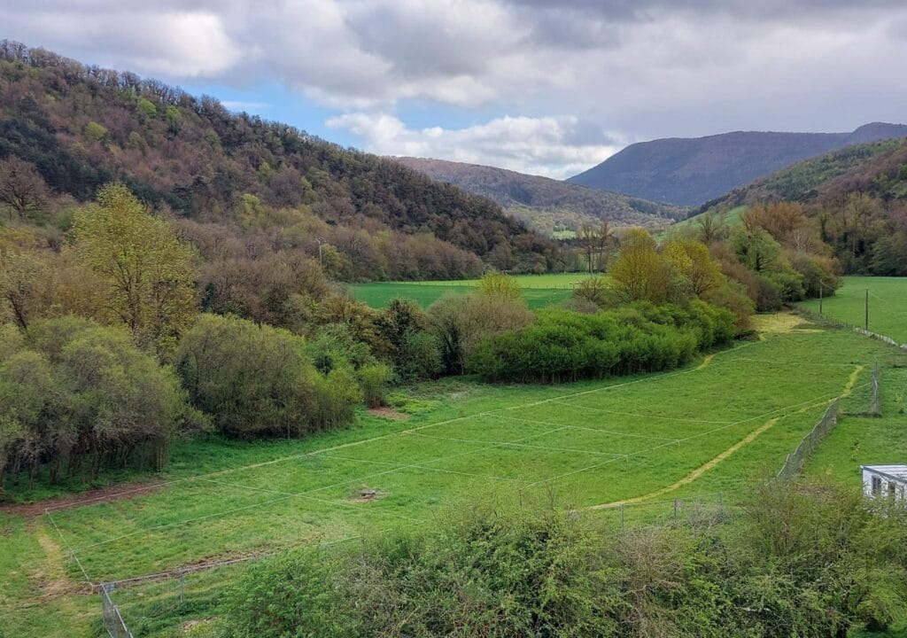 WhatsApp-Image-2026-04-04-at-18.39.14-7